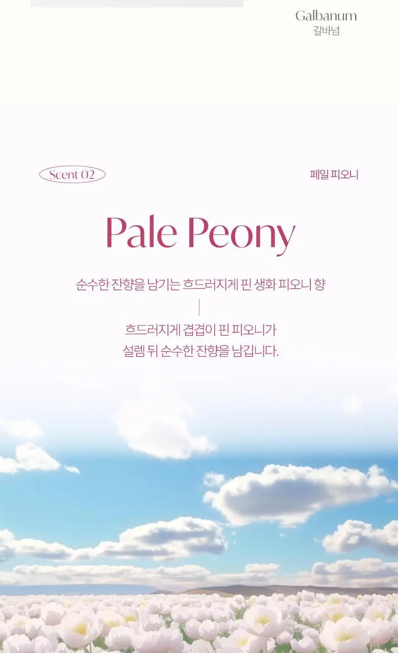 [산뜻수분] 라운드어라운드 센티드 핸드워시 300ml 2종 상세페이지 9
